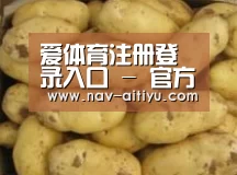 产品展示标题6