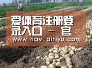 种植基地八